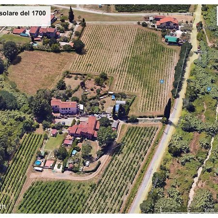 Le Rose , Relax In Casolare Del 1700 Apartment Sarzana Luaran gambar
