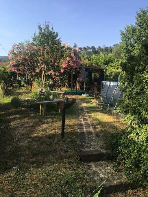 Le Rose , Relax In Casolare Del 1700 Apartment Sarzana Luaran gambar
